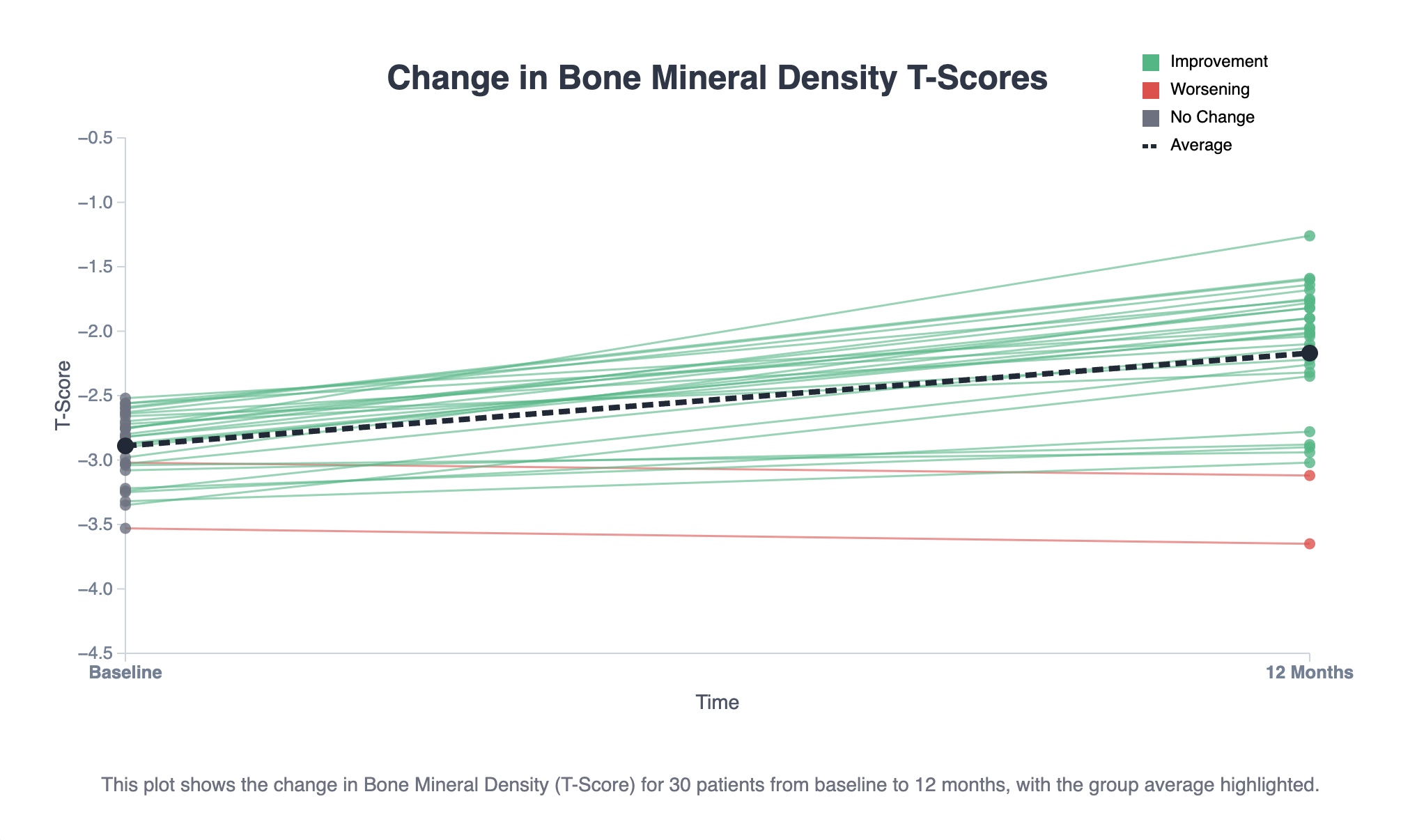 Change in Bone Mineral Density (T-Score) for 30 patients from baseline to 12 months