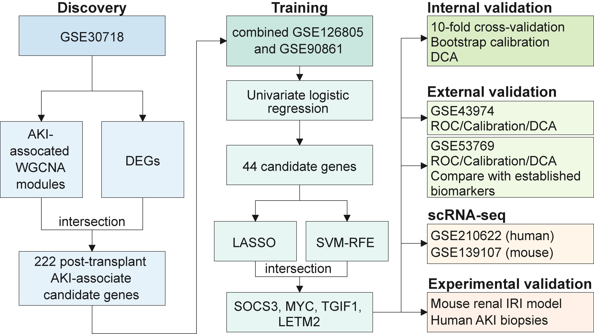Fig. 1 Overview of the study workflow