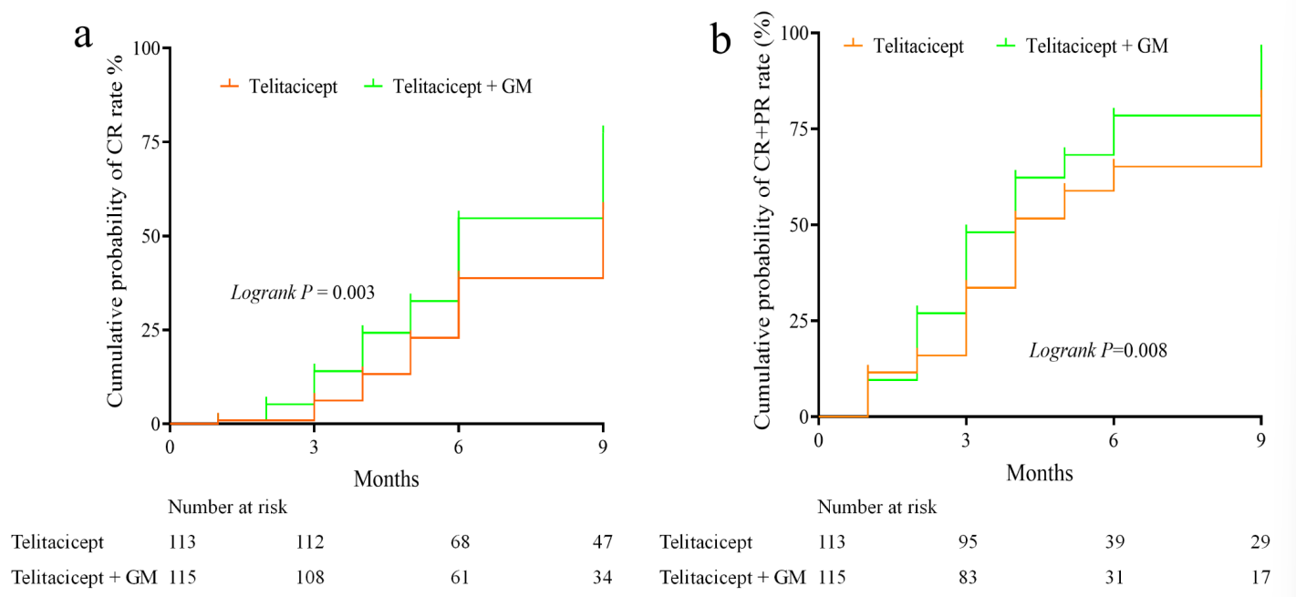 Figure 4: Cumulative probability of 9-month (a) complete remission rate (CR) and (b) overall remission rate (CR + PR) using Kaplan–Meier analysis.