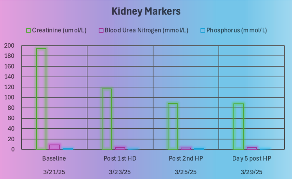 Figure 1. Progressive decline in kidney markers post treatment. HD, hemodialysis; HP, hemoperfusion.