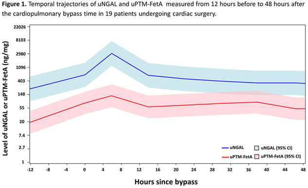 Figure 1. Temporal trajectories of uNGAL and uPTM-FetA measured from 12 hours before to 48 hours after the cardiopulmonary bypass time in 19 patients undergoing cardiac surgery.