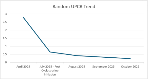 Figure 1. Sharp UPCR decrease 1 week after cyclosporine initiation followed by sustained decrease.