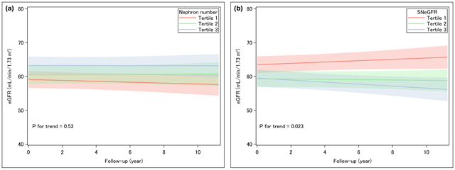 Figure 1. Postoperative eGFR Trajectories by Baseline Nephron Number and SNeGFR Tertiles. Abbreviations: eGFR, estimated glomerular filtration rate; SNeGFR, single-nephron glomerular filtration rate.