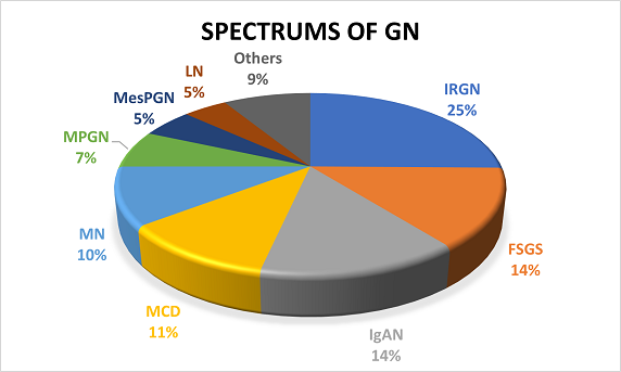 Figure 1: Distribution of glomerulonephritis patterns based on biopsy findings