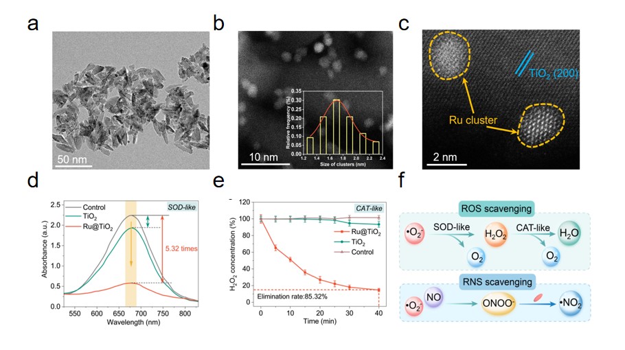 Morphology characterization and enzyme mimicking catalytic activity of Ru@TiO2.