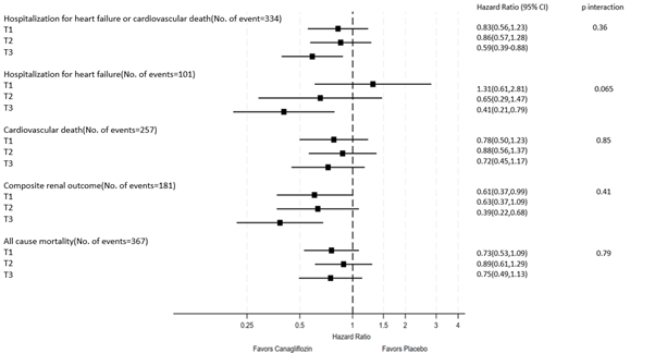 Relative effect of canagliflozin on clinical outcome by PIC tertile