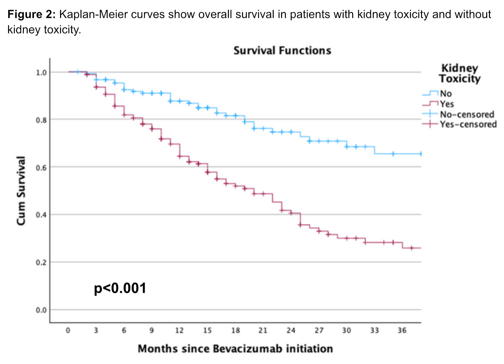 Figure 2: Kaplan-Meier curves show overall survival in patients with kidney toxicity and without kidney toxicity.