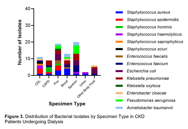 Fig 3. Distribution of Bacterial Isolates by Specimen Type in CKD Patients Undergoing Dialysis