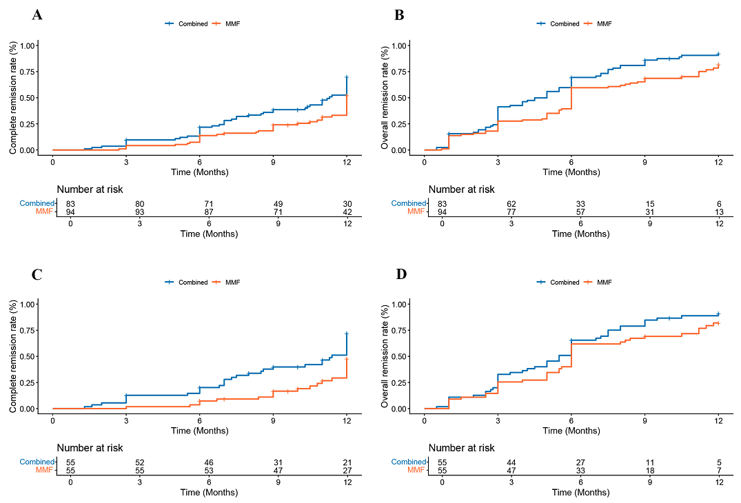 Figure 2: Cumulative probability of 12 months remission using Kaplan-Meier analysis