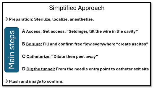 Figure 1: the simplified approach for US guided PD catheter insertion