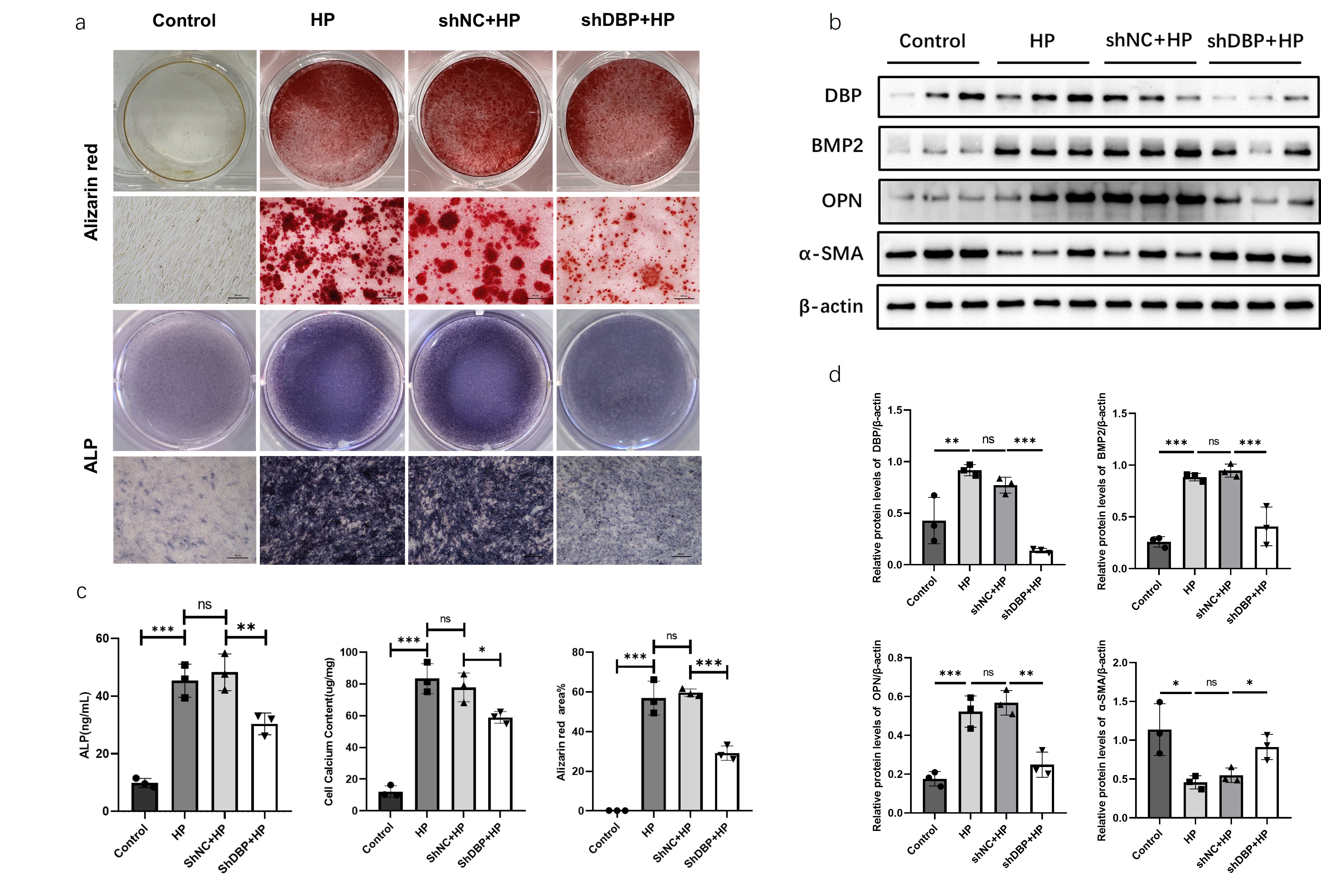 Figure2