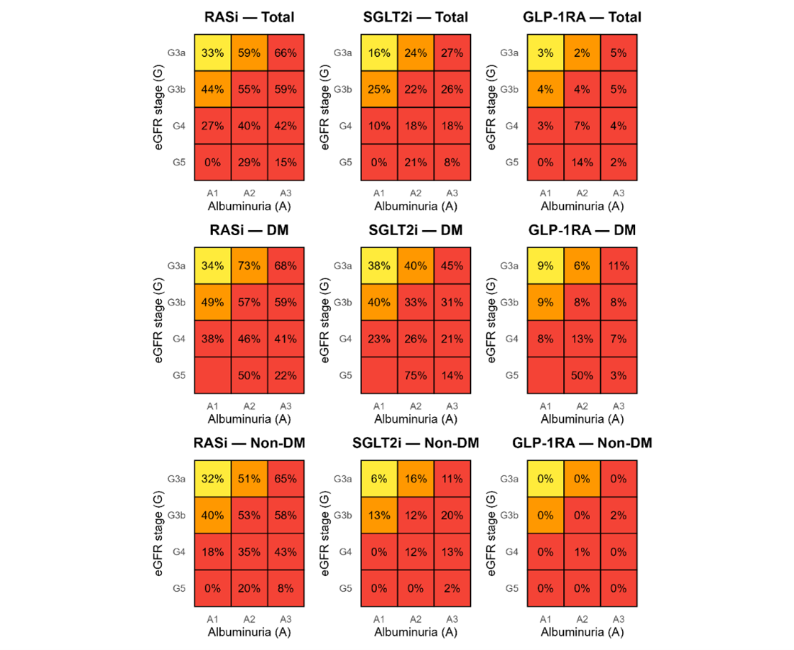 Figure 1. KDIGO G×A heatmaps of kidney-protective therapy in Thai CKD.
