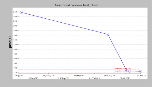 Serum parathyroid hormone level