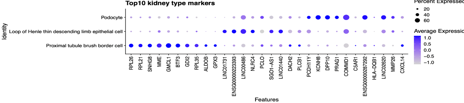 Fig 3a