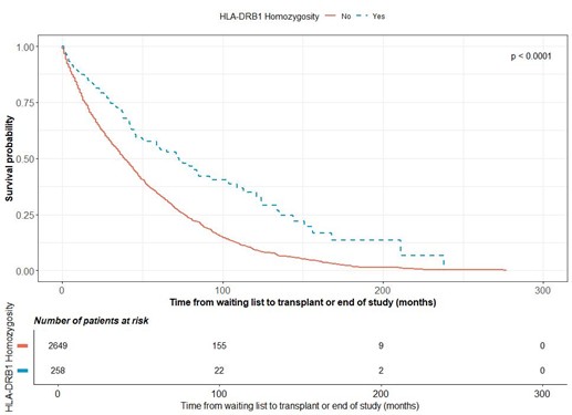 Kaplan-Meier curves showing the time from waiting list to transplantation stratified by HLA-DR homozygous status