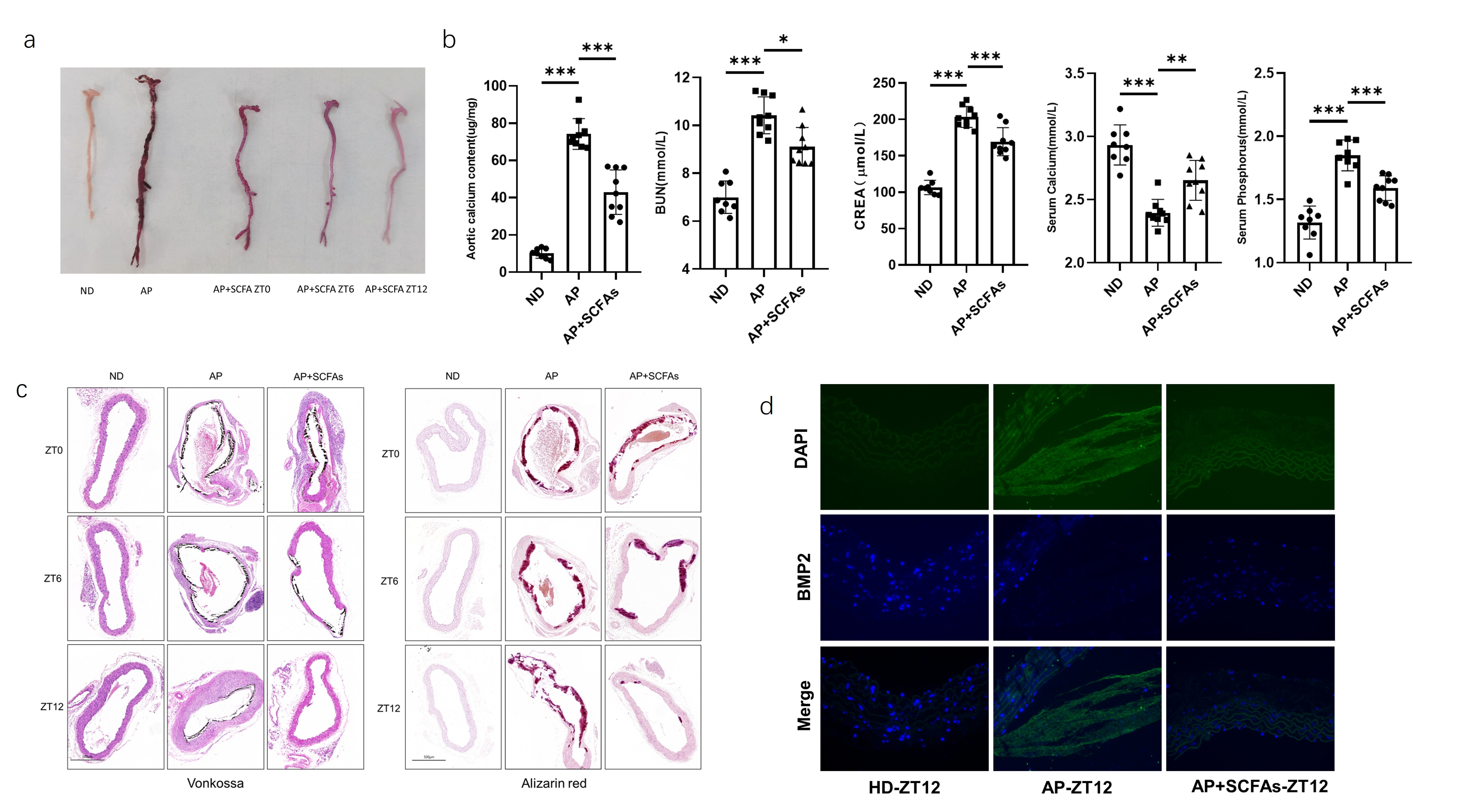 Figure6