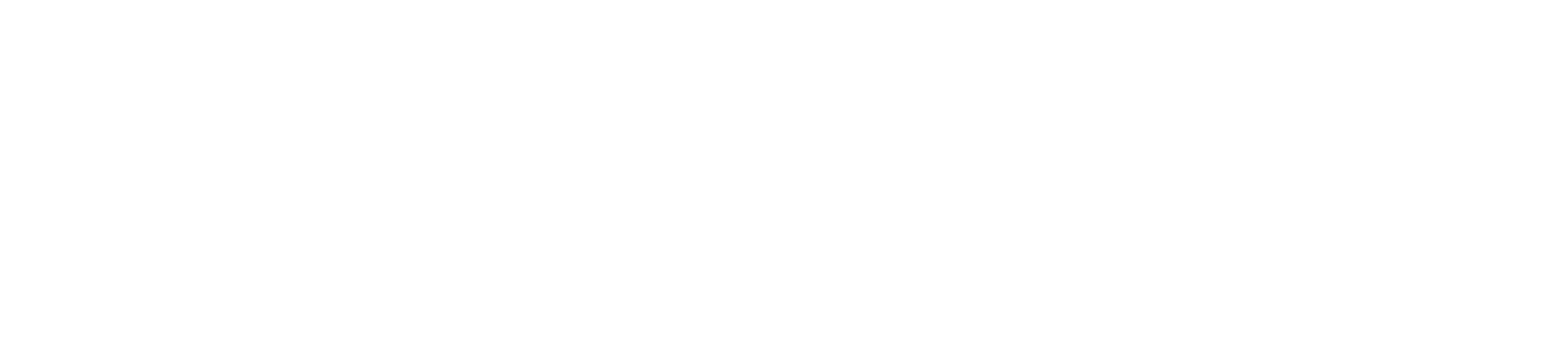 BitQuest - Digital Marketing Agency Main Logo