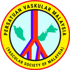 VSM Logo