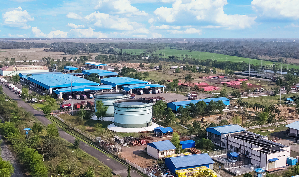 biswa bangla gate image