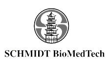 Schmidt Biomedtech Sdn Bhd