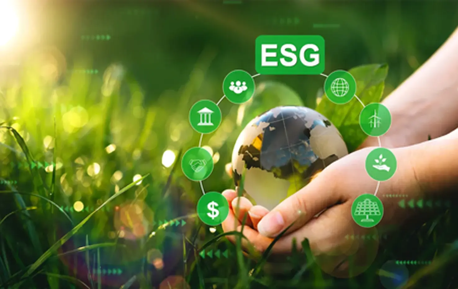 Environmental, Social, and Governance (ESG) Advocates