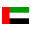 UAE flag