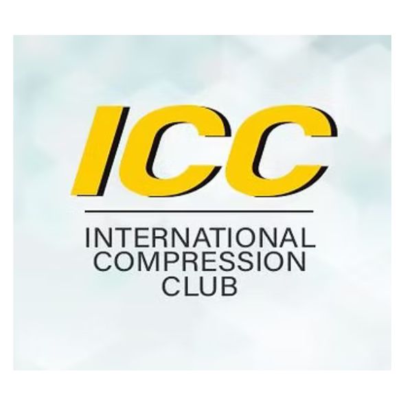 ICC Annual Meeting 2025