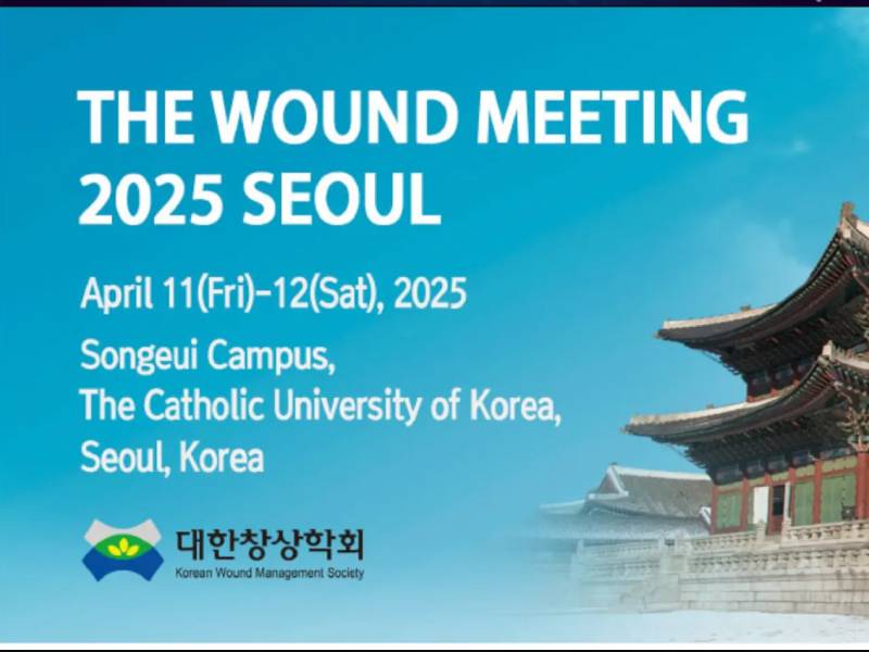 The Wound Meeting 2025 Seoul