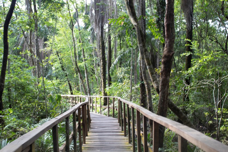 A_pathway_in_the_Lekki_Convention_Center