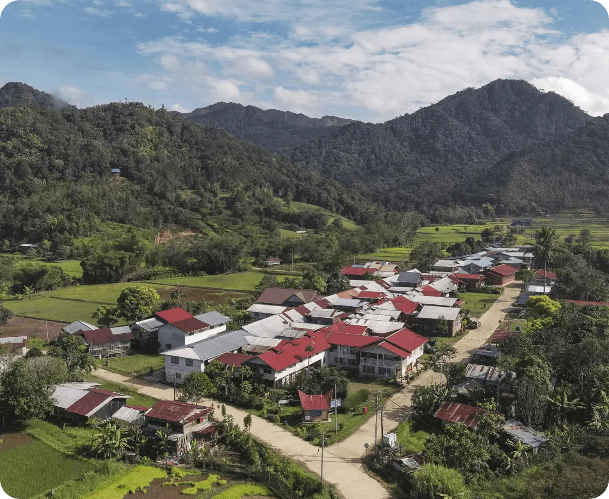 Bario Highland