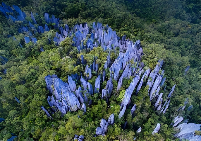 Visit to Mulu National Park