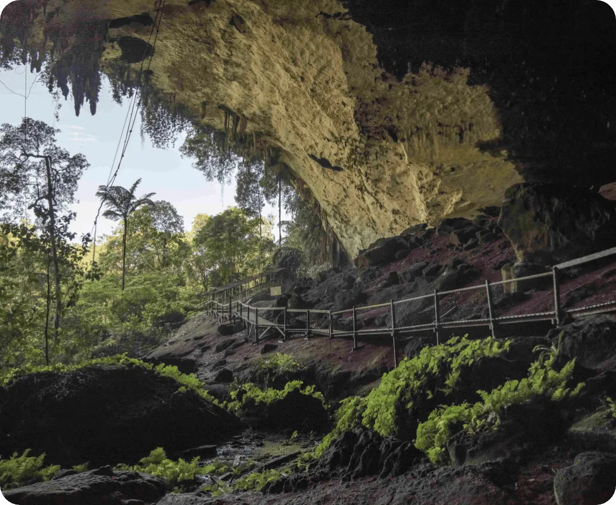 Niah National Park