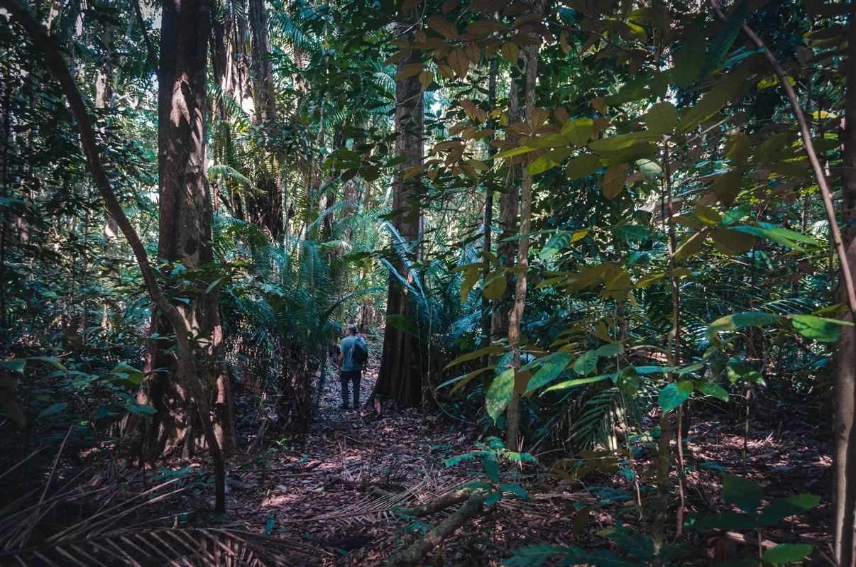 Tanjung Datu National Park (2Days 1 Night)