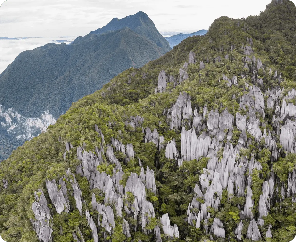 Gunung Mulu
