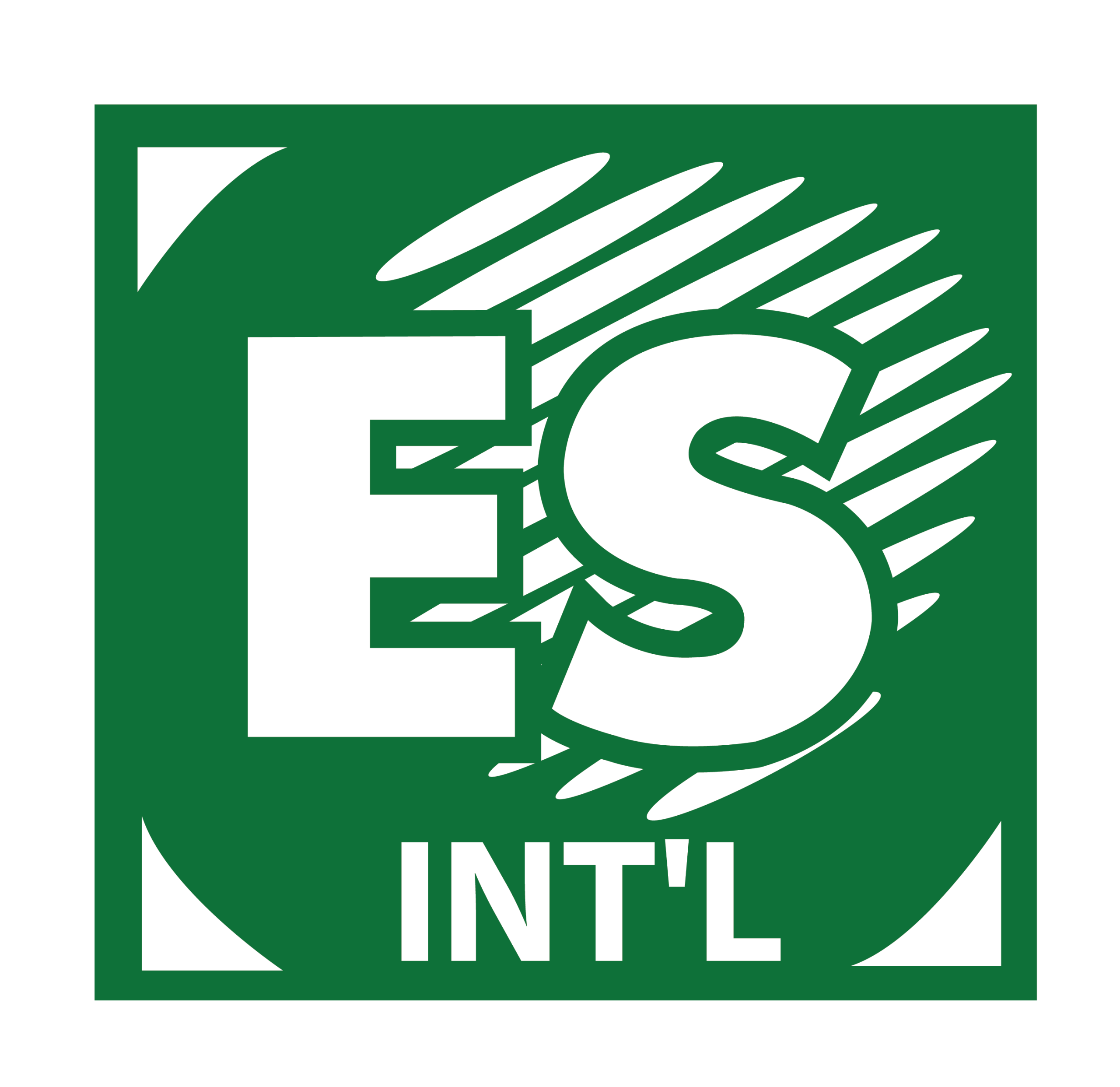 ES INTERNATIONAL EVENT MANAGEMENT SDN BHD