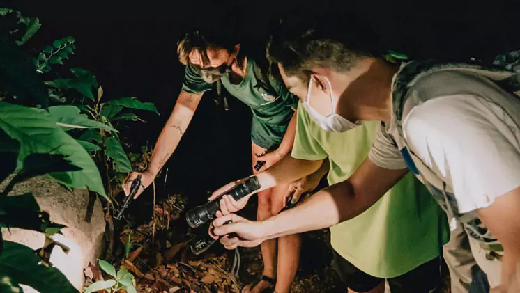 Naturalist Night Adventure
