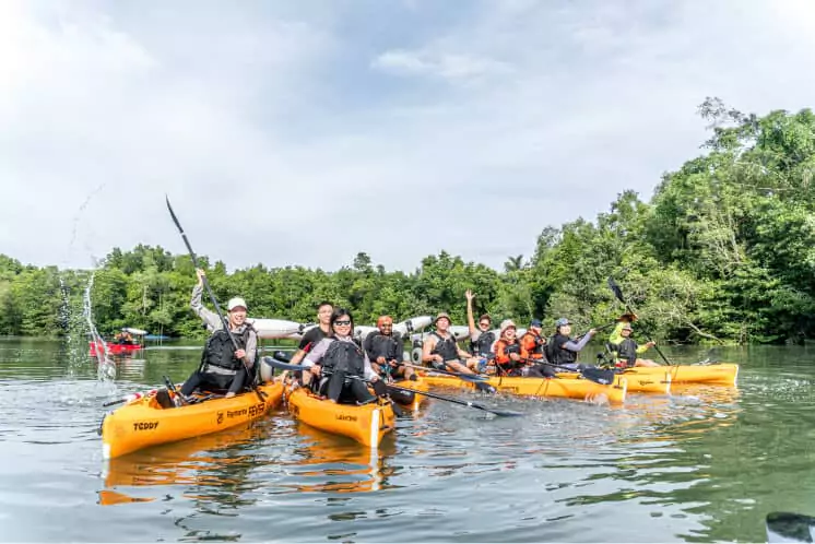 Ubin Bisect Kayaking