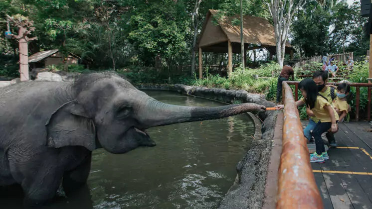 Singapore Zoo
