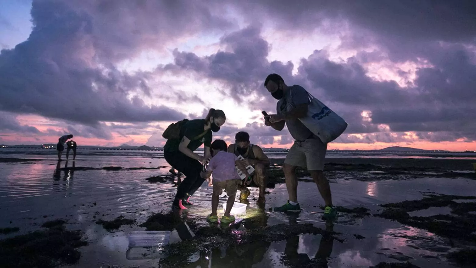 Intertidal Trails at Changi
