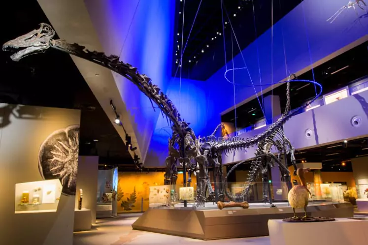 Lee Kong Chian Natural History Museum