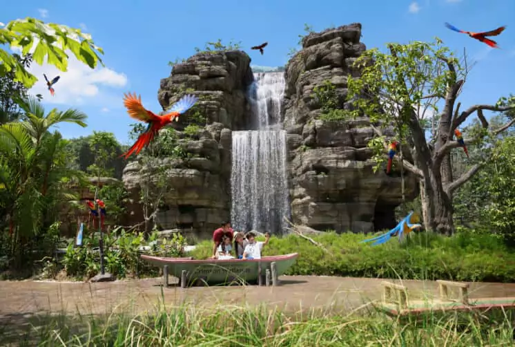 Bird Paradise