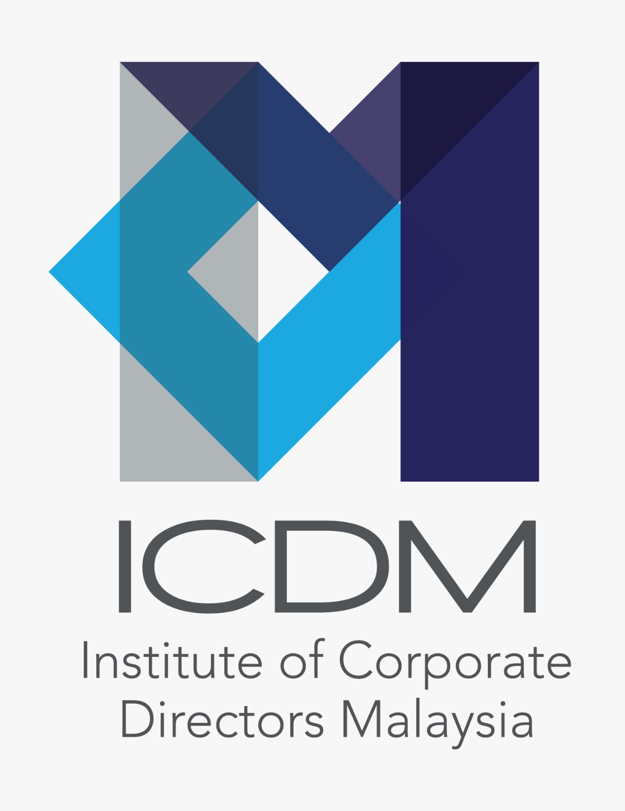 19 ICDM Logo