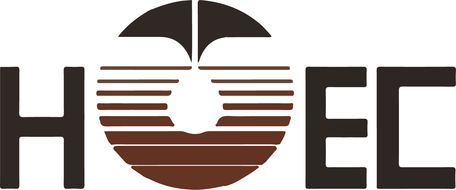 Hindustan Oil Exploration 