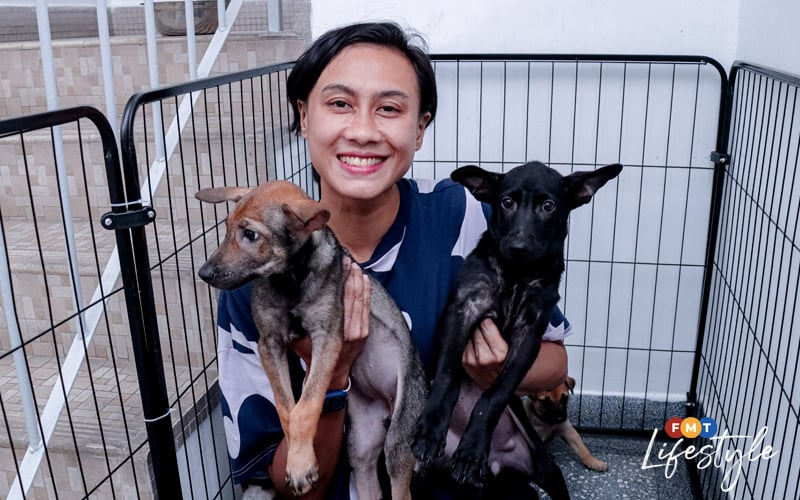 A Second Chance at Life: Shima’s Mission for Animals