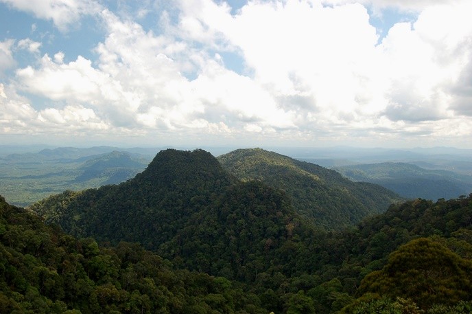 Sarawak Cultural Village image