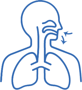 Respiratory Structure and Function