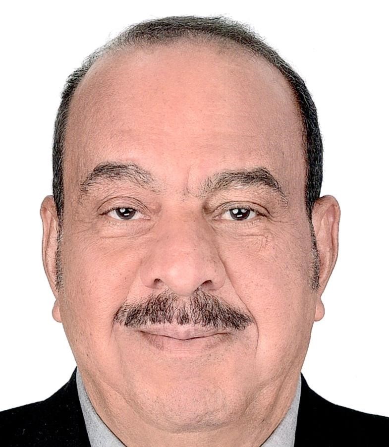 Mohamed SharkawyProf Dr