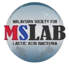 19 MSLAB