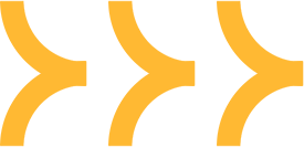vector 4