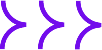 vector 6